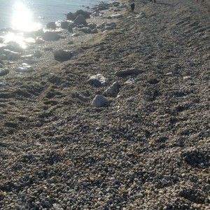 Meet your Posher, Helen